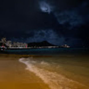 Meet your Posher, Maddie